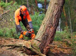 Mulching Services in Mack, OH